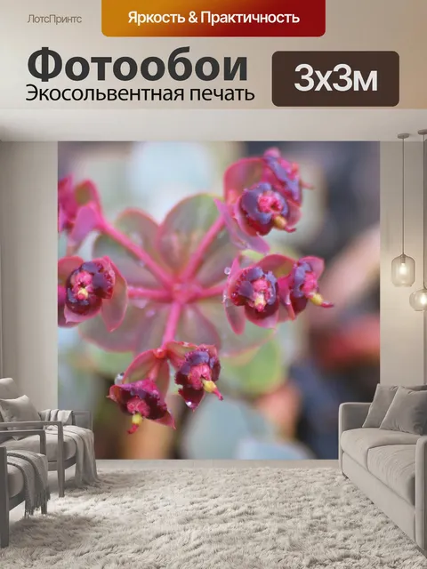 Фотообои Мокрый