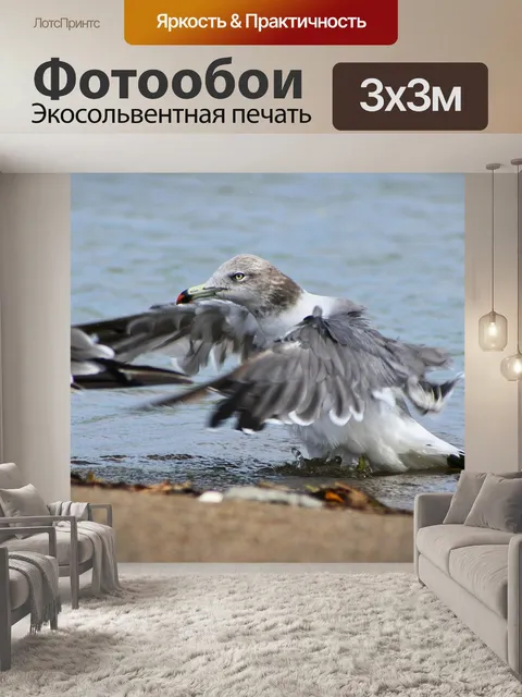 Фотообои Животное