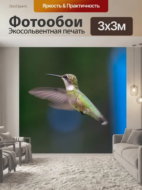 Фотообои Птица