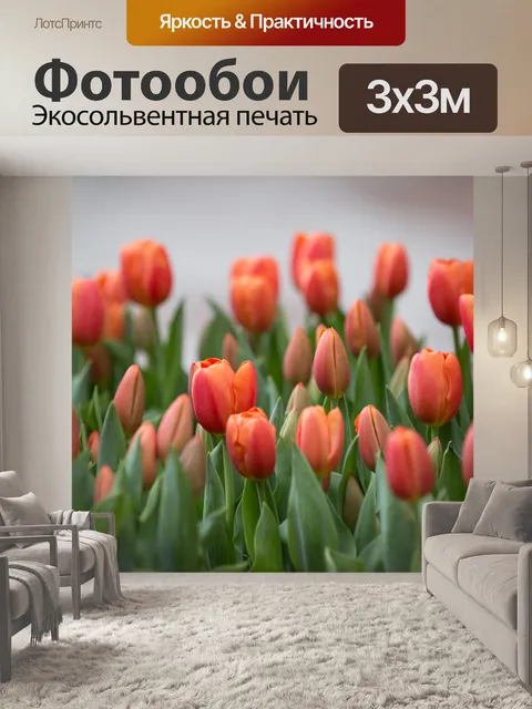 Фотообои Красные цветы