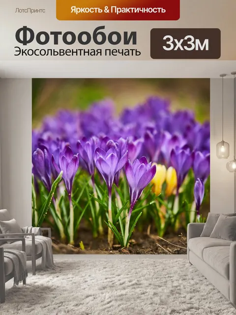 Фотообои Цветы