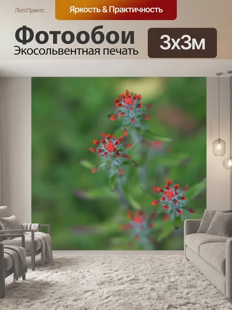 Фотообои Цветы