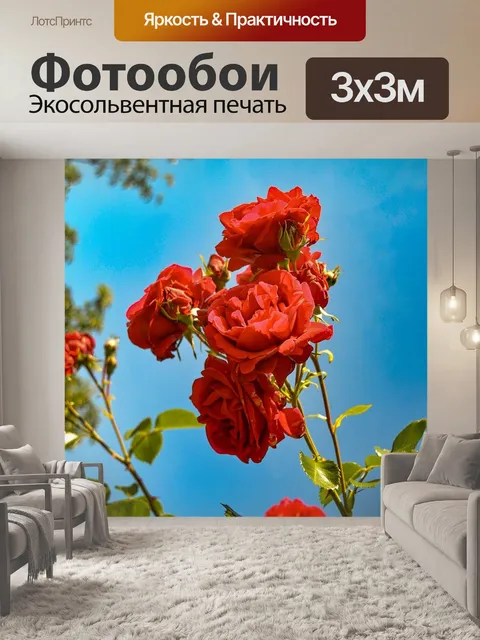 Фотообои Розы