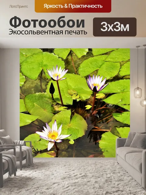 Фотообои Цветы