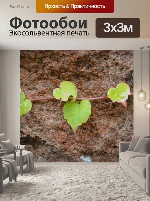 Фотообои Листы