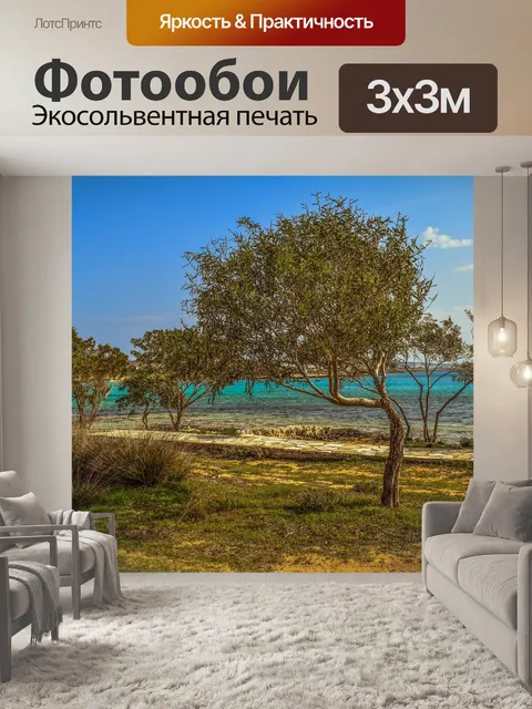 Фотообои Деревья