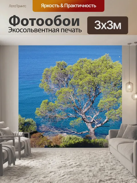 Фотообои Юг франции