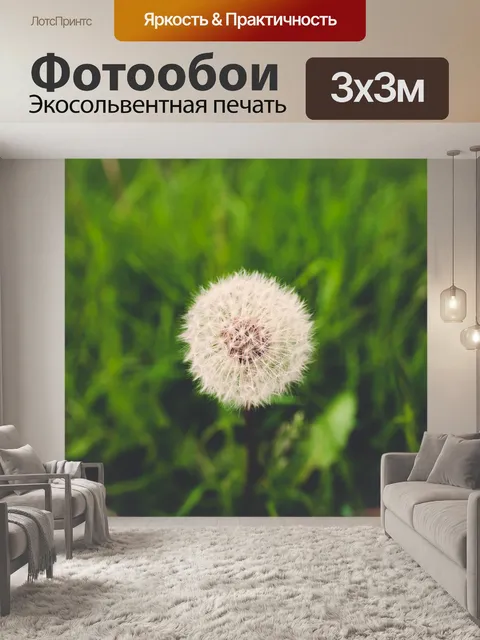Фотообои Одуванчик