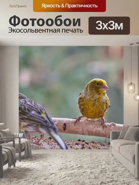 Фотообои Птица