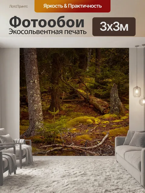 Фотообои Глубокий темный лес