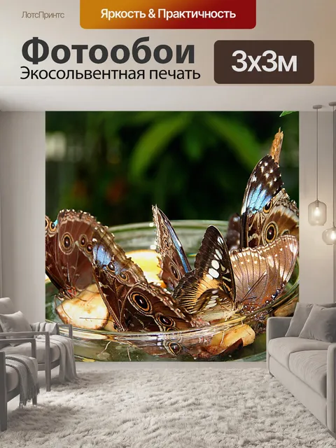 Фотообои Бабочки