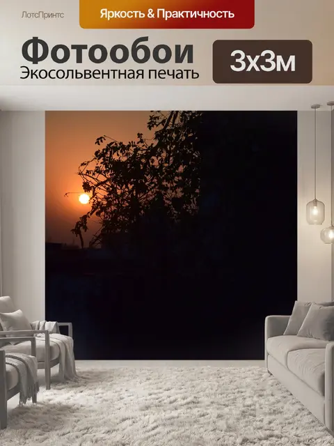 Фотообои Закат силуэт 2