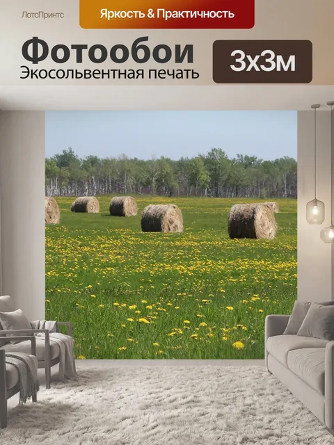 Фотообои Поле