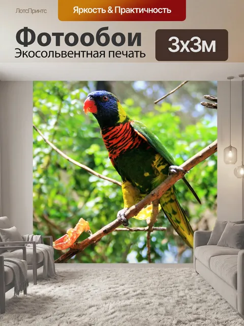 Фотообои зеленый napęd Лорикет и фрукты