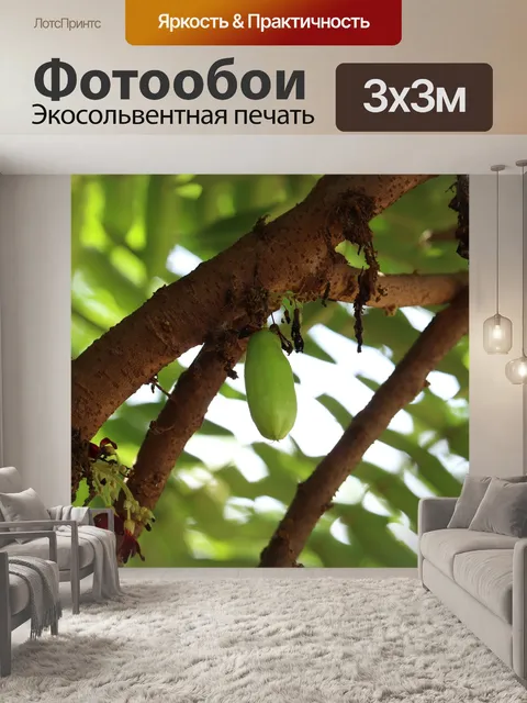 Фотообои Фрукты