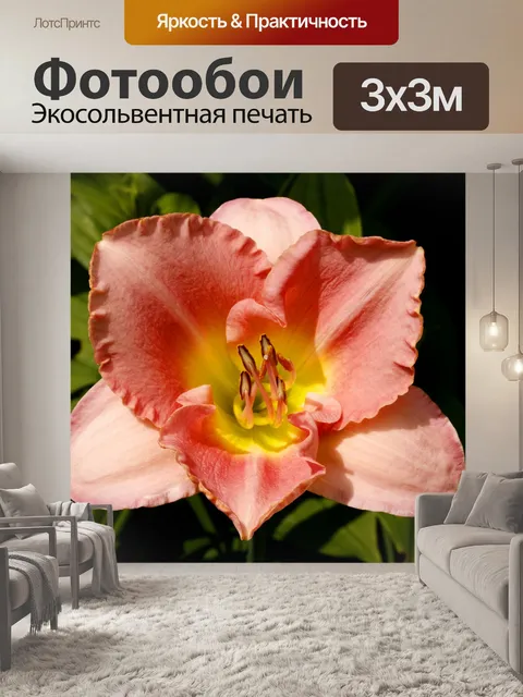 Фотообои Персик цвета лилии