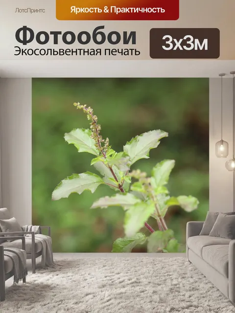 Фотообои Листья
