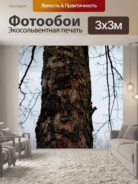 Фотообои текстуры дерева