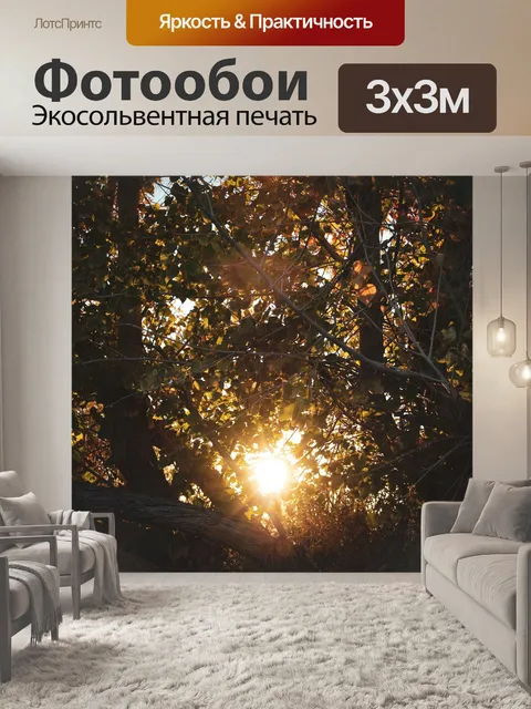 Фотообои Солнце