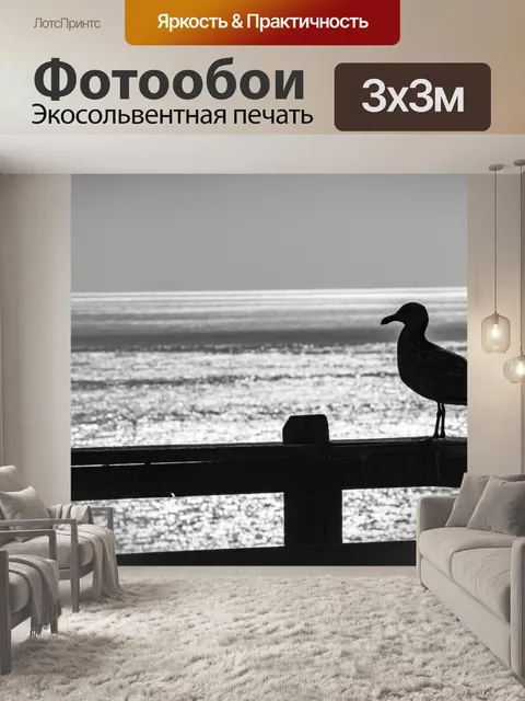 Фотообои чайка силуэт