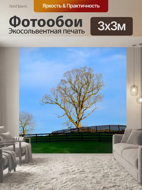 Фотообои Дерево
