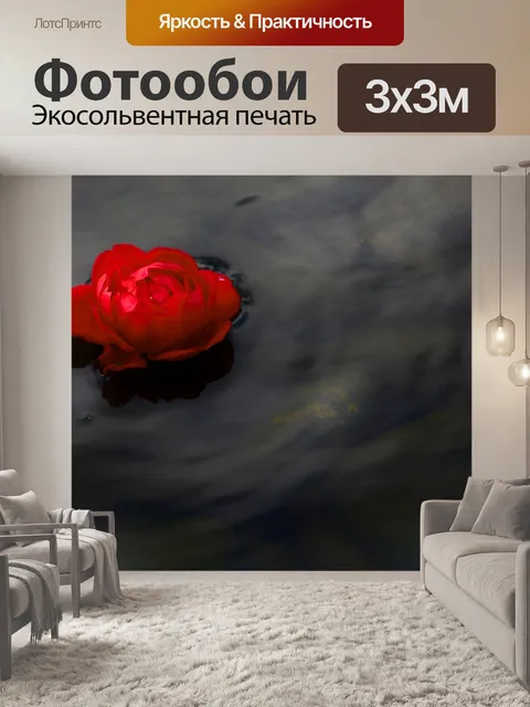 Фотообои Роза