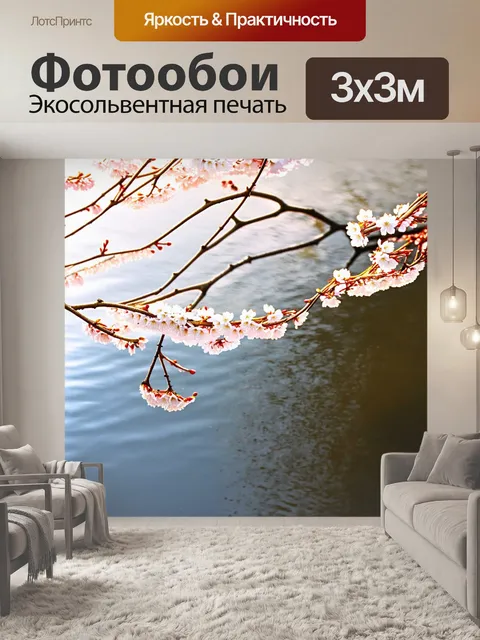 Фотообои плоский план с нежными цветами сакуры