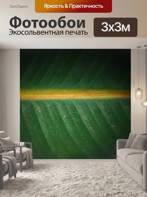 Фотообои близкий взгляд текстуры на большом листе