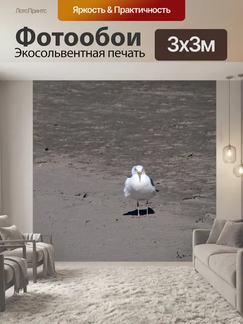 Фотообои Одинокая чайка