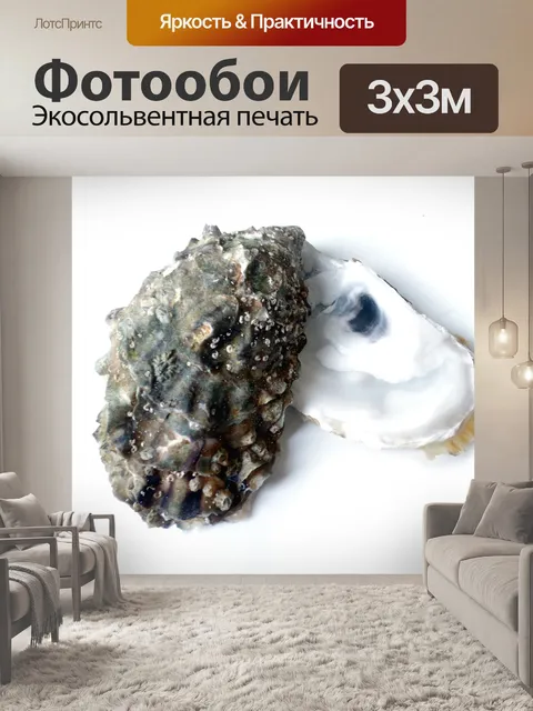 Фотообои Устрица