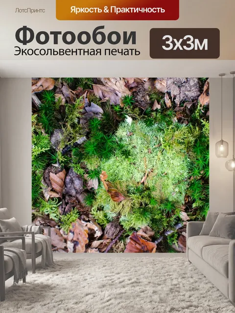 Фотообои Листья