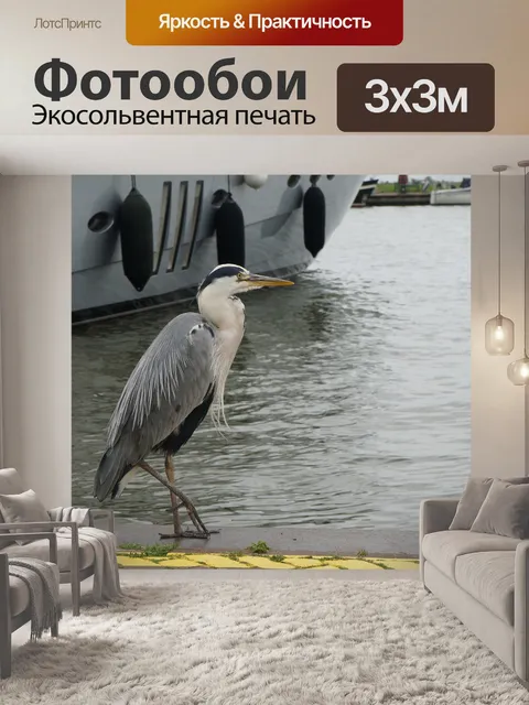 Фотообои Птица