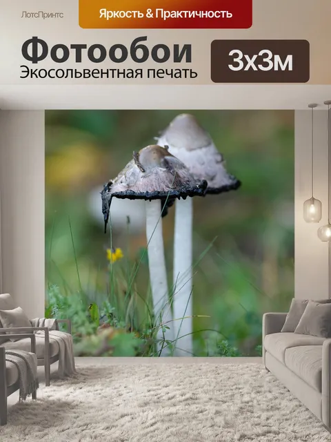 Фотообои Гриб