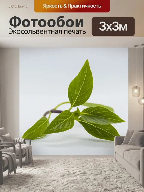 Фотообои Бэзил