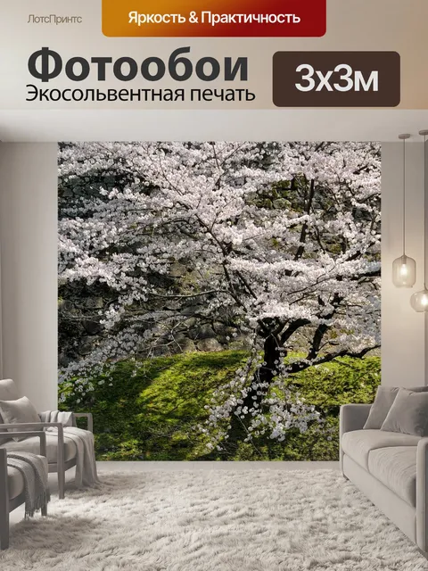 Фотообои Вишневое дерево