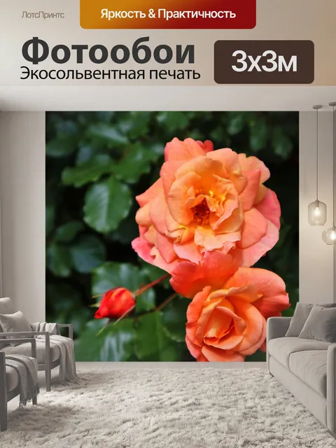 Фотообои Розы