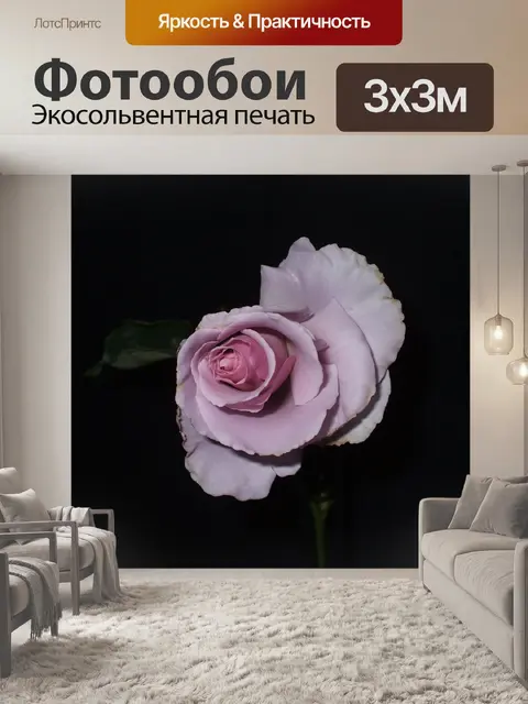 Фотообои Рос стерлингов Роз