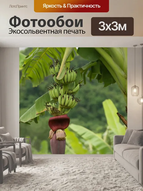 Фотообои Банан