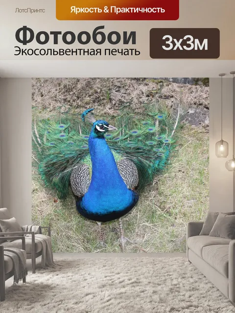 Фотообои Павлин