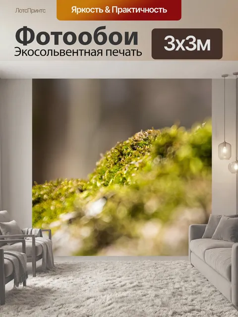 Фотообои Мох