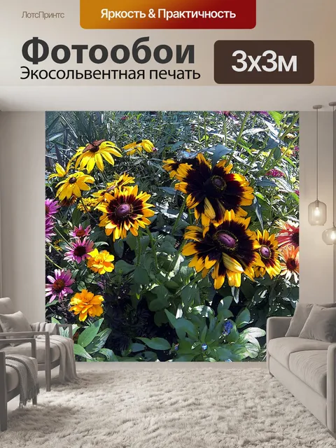 Фотообои Большие Подсолнухи в саду