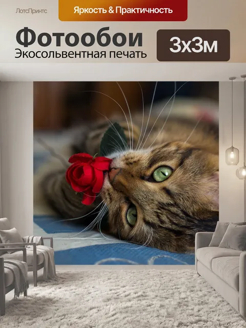 Фотообои Кошка