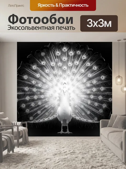 Фотообои Белый павлин с распущенным хвостом