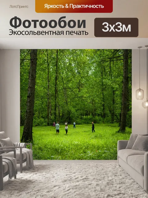 Фотообои лес с уютной травяной поляной, где собираются дружные группы