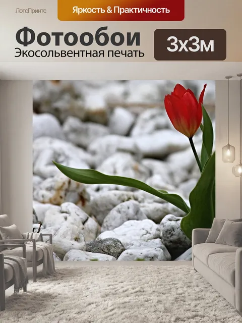 Фотообои Тюльпан
