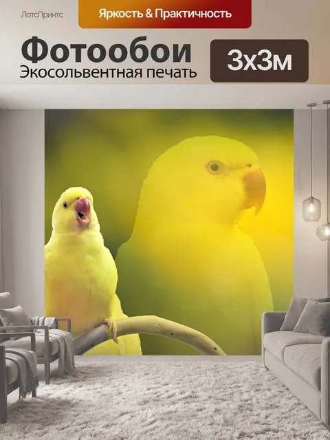 Фотообои Птица