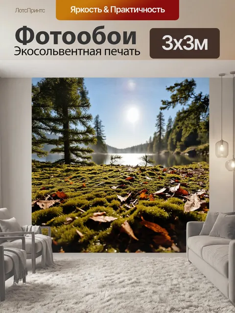 Фотообои ласковый утренний солнечный свет пробивается сквозь густые еловые деревья
