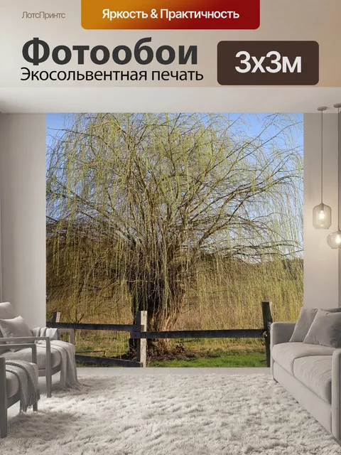 Фотообои Дерево