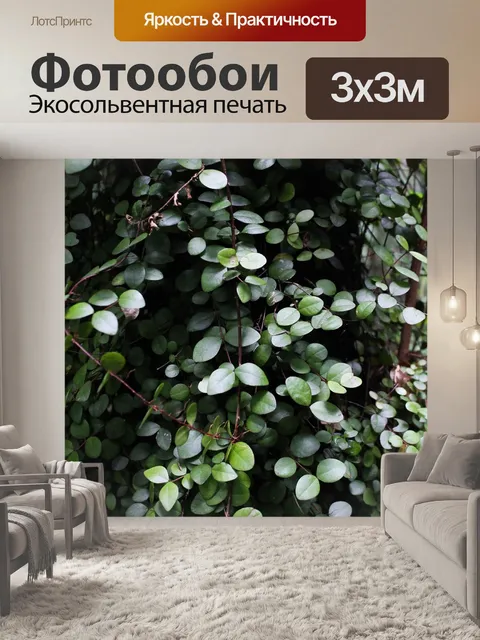 Фотообои Цветы
