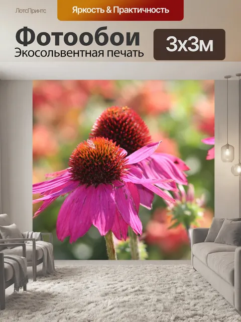 Фотообои Шишки